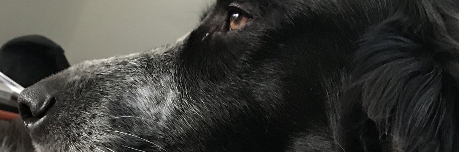 kylel302's profile banner image
