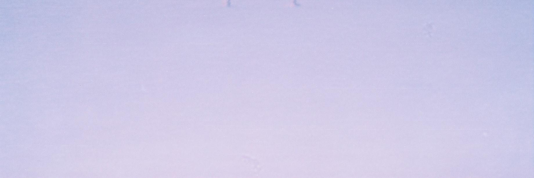 GoodFeminism's profile banner image