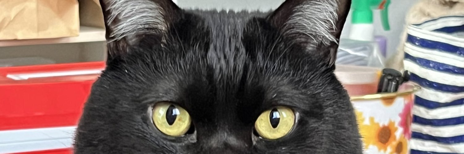 kokociro's profile banner image