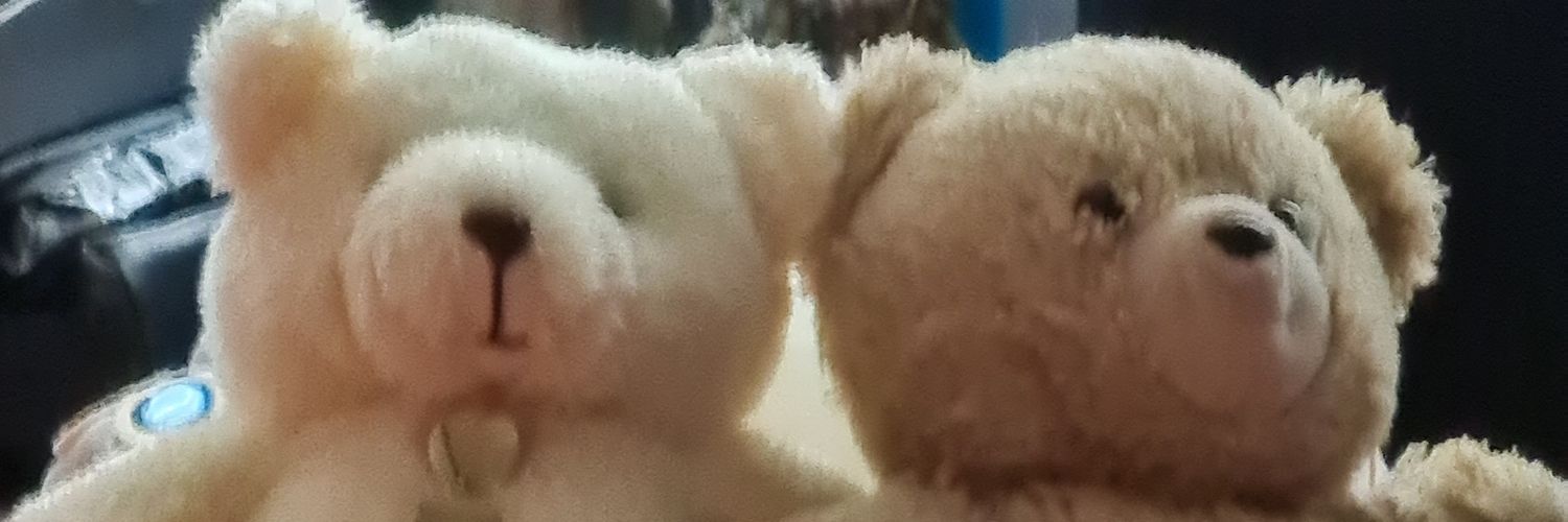 gigilbear's profile banner image