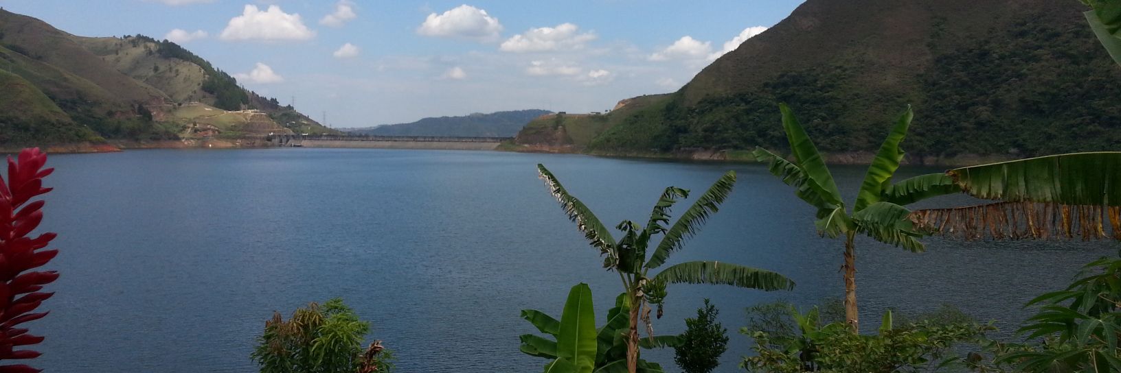 Fernando Pérez G. banner