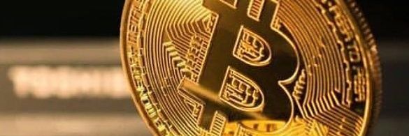 Linda banner