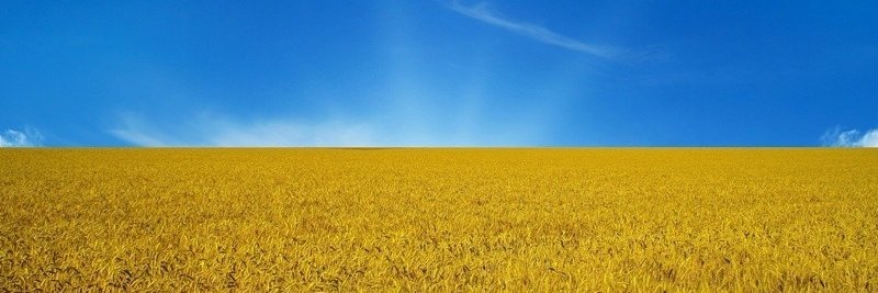 o_ugrinchuk's profile banner image