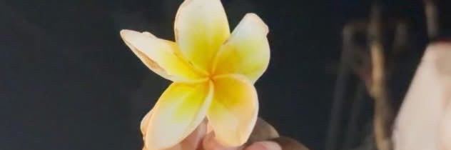 Nehaomgcray's profile banner image