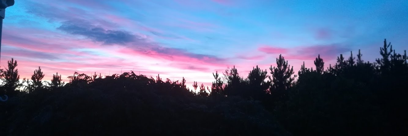 Richard A.M. Špaček 🐬 banner