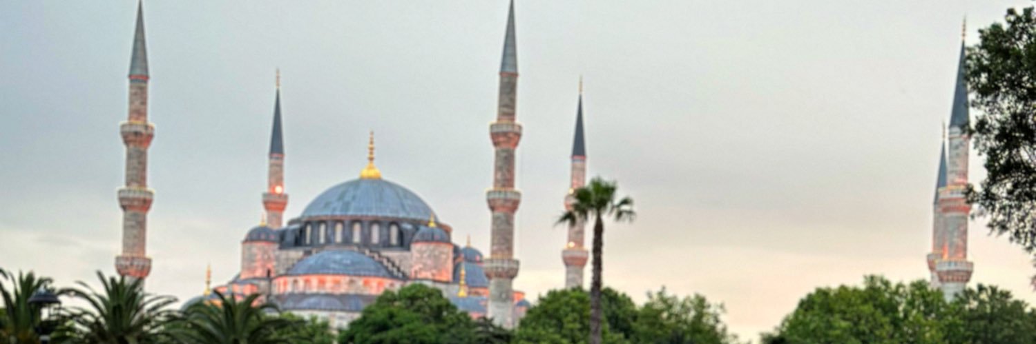 Nasslecitizen's profile banner image