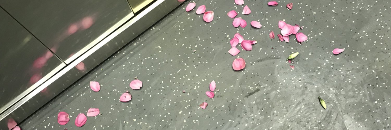 hlestko's profile banner image