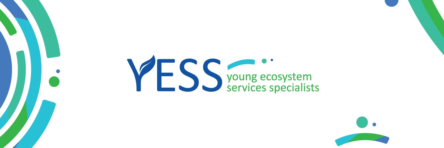 YESS banner