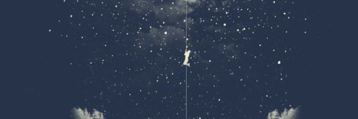 tugce_pala's profile banner image