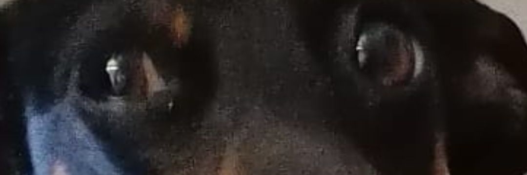 atb1942's profile banner image