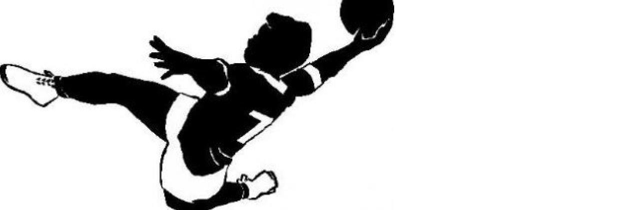 Florent SCHMIDT banner