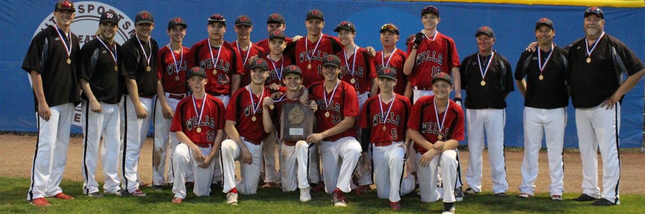 Warrior Baseball banner