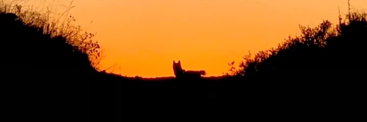PaatGlam's profile banner image
