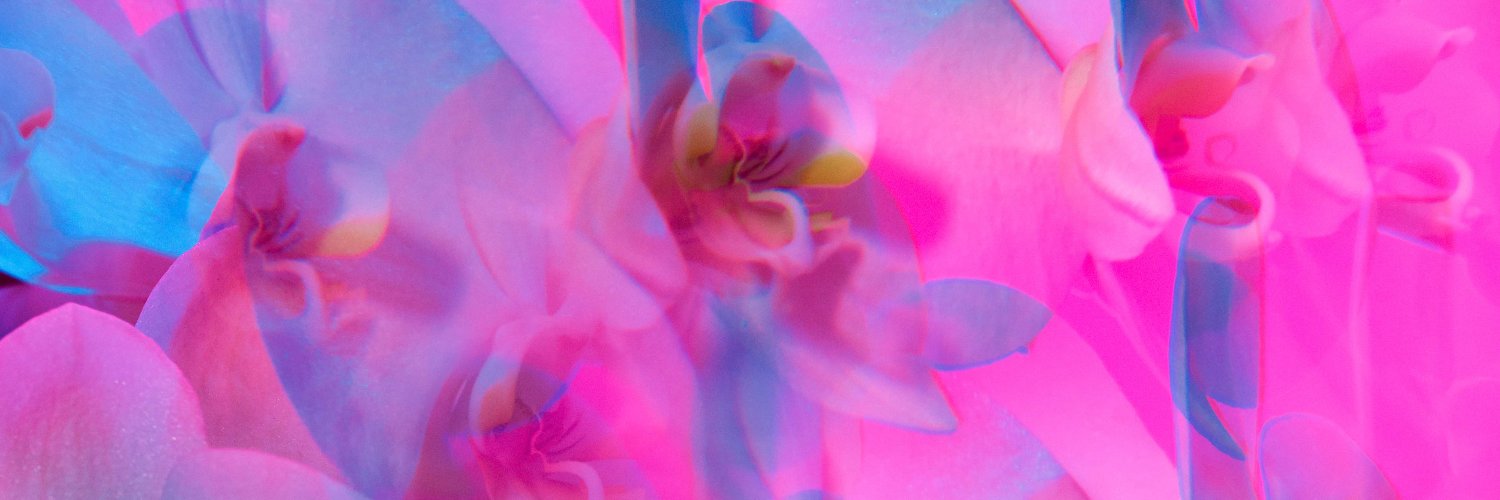 SionOrchids's profile banner image