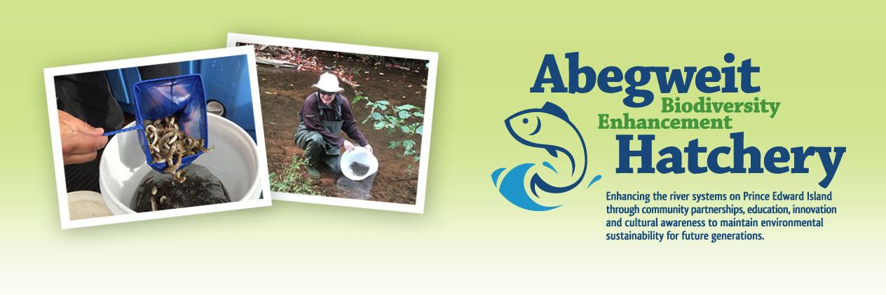 abegweithatch's profile banner image