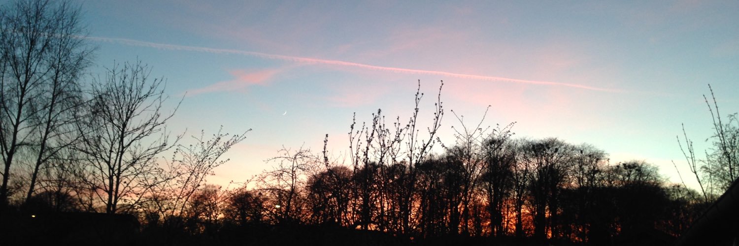 JanieS_'s profile banner image