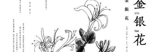 soliveule Profile Banner