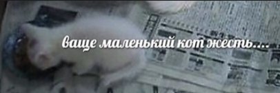 Китами будем banner