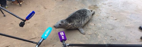 ivanramgarcia Profile Banner