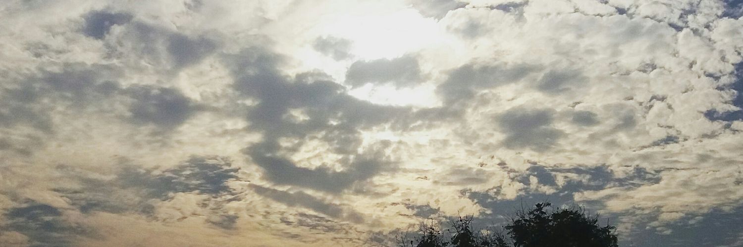 Sanika305's profile banner image