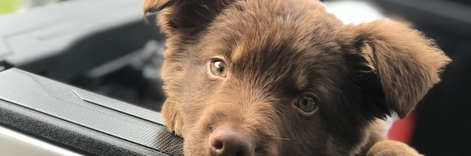 ELCHONKY's profile banner image