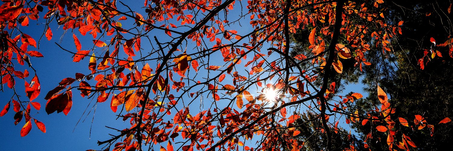 Chesterfield VA Parks and Recreation banner