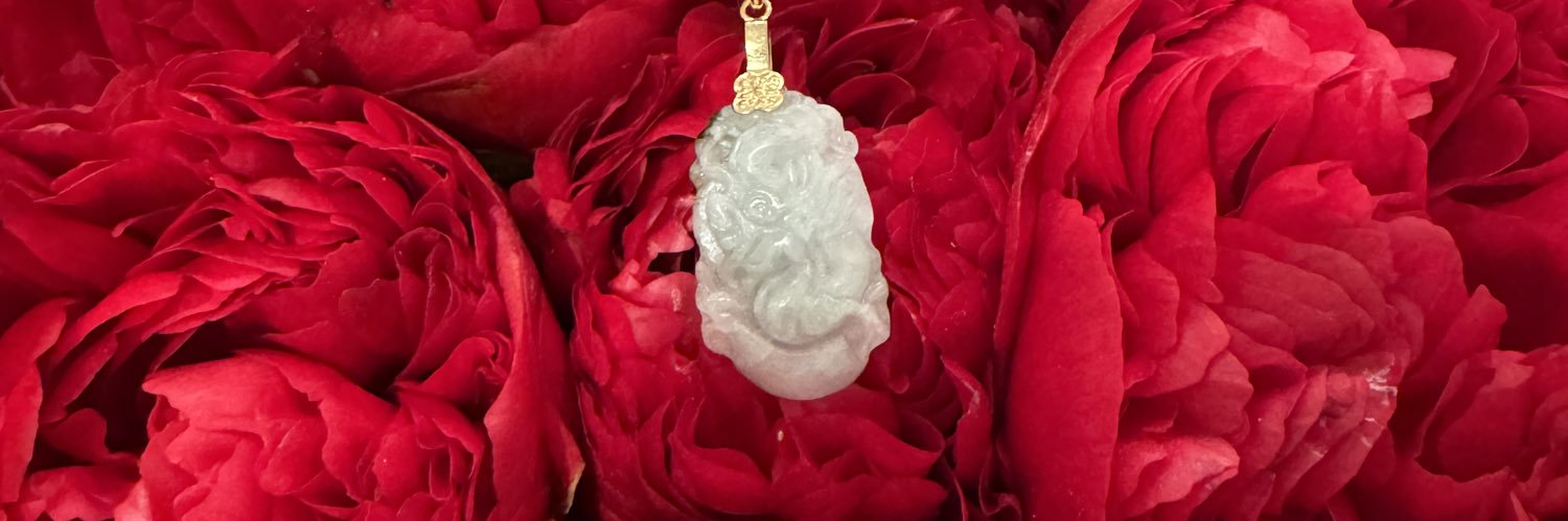 Raton laveur 🌙 banner