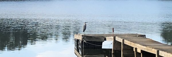 skanegill Profile Banner