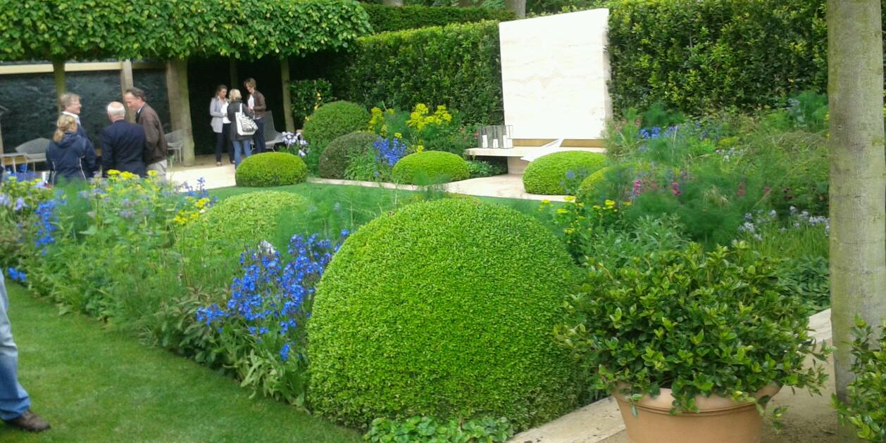 Virginia Toombs banner