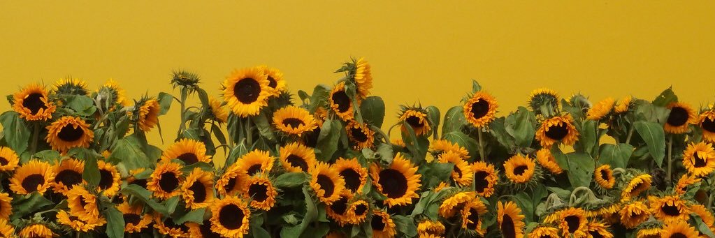 Daniyah banner