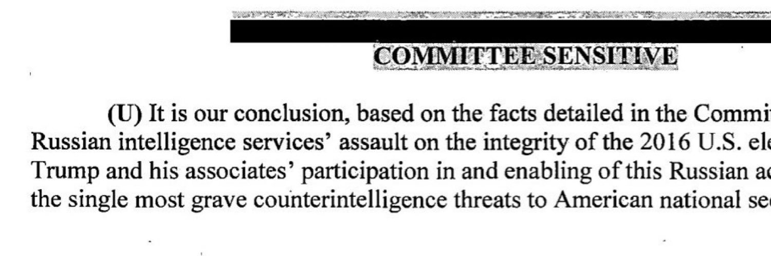 CAROLINE, a CHRIETSN Lady 🧐🦅 banner