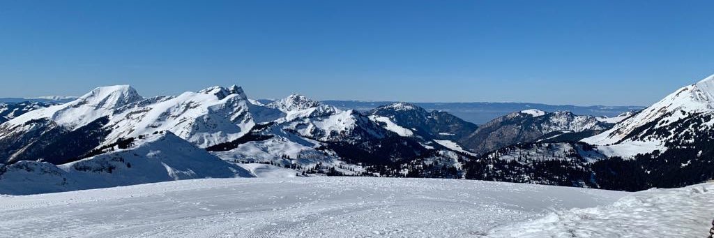 Gemma Traviss-Turner banner