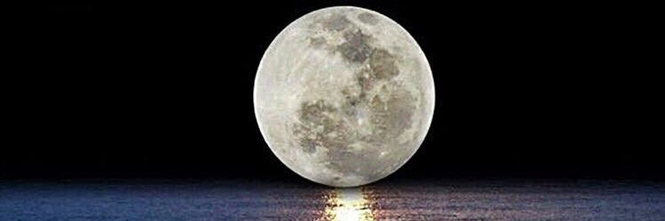 moonride9999's profile banner image