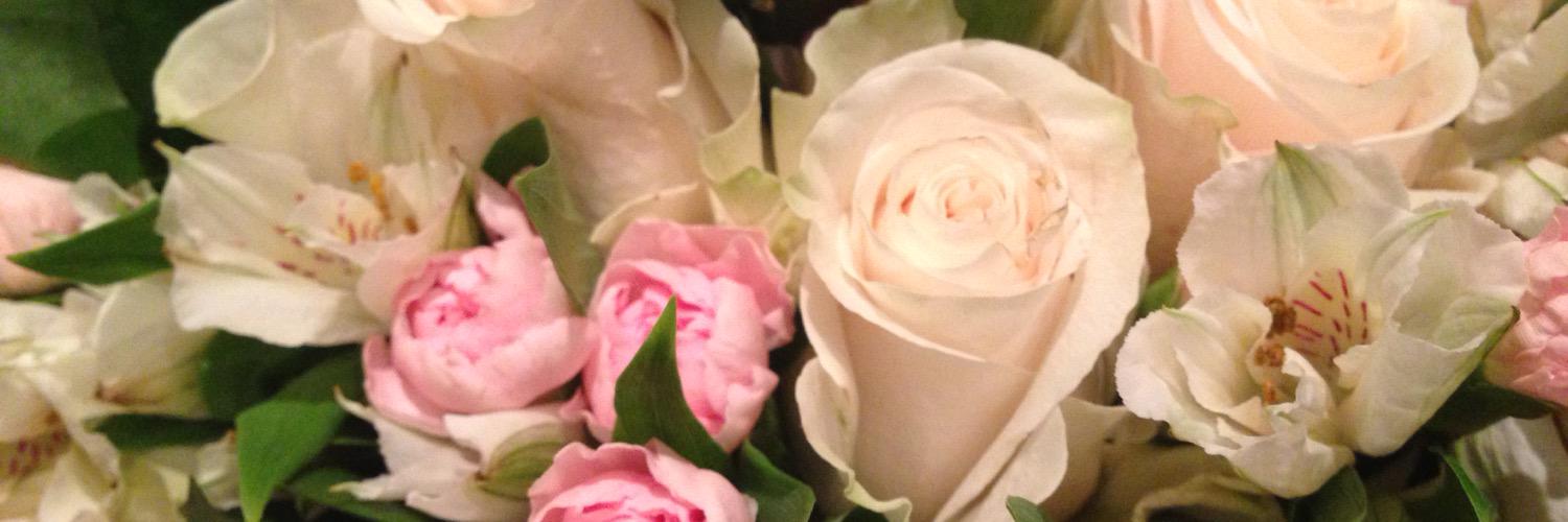 FleurSpb's profile banner image