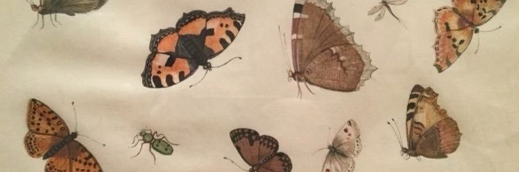 TammHele's profile banner image