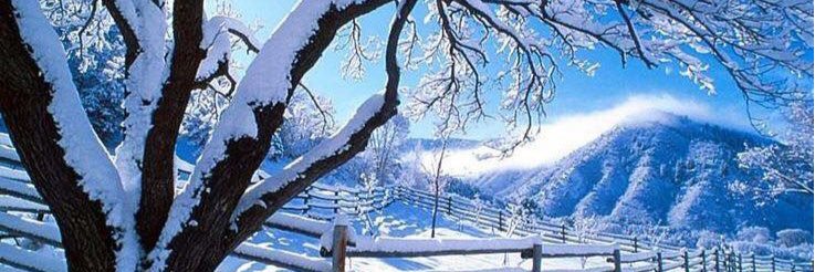 Rabin575's profile banner image