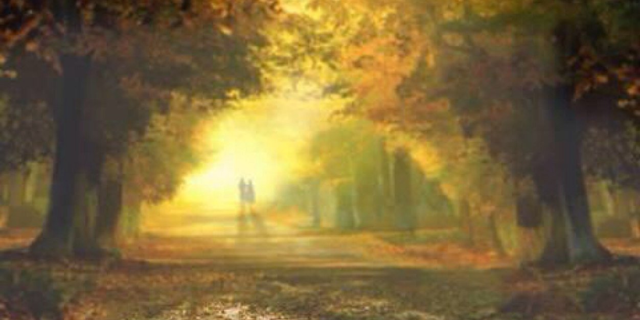 misshazelnut's profile banner image