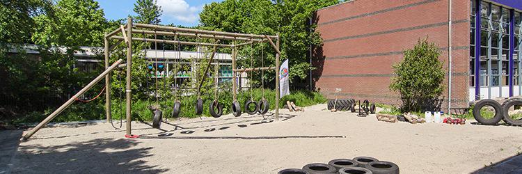 Totally in Shape banner