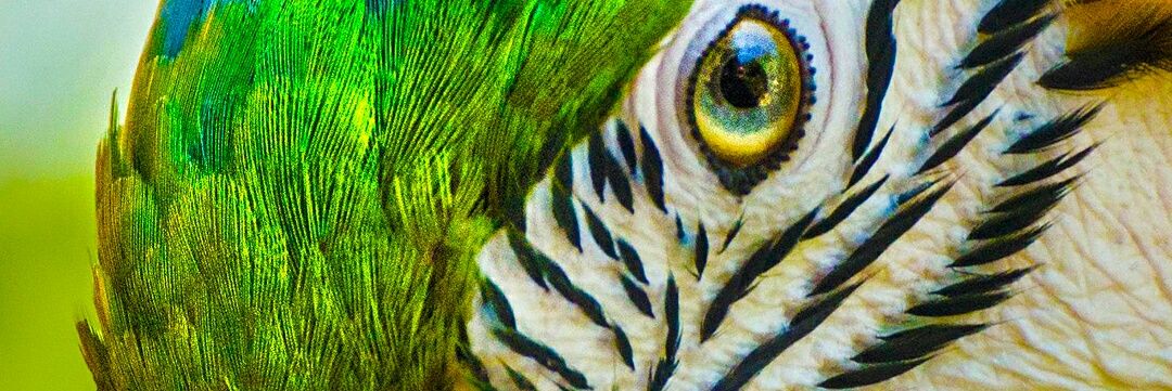 TheRotimi_Akin's profile banner image
