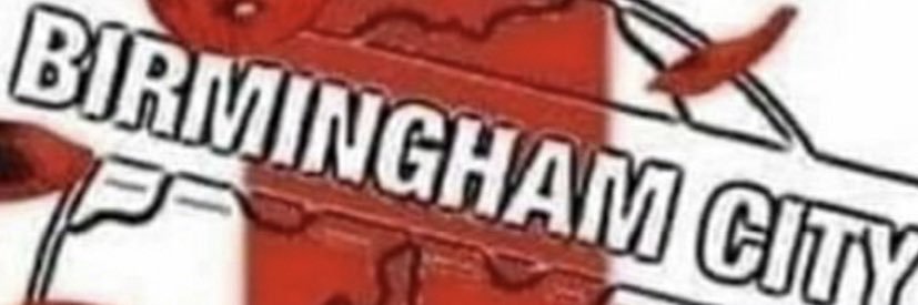 Lee Hanson banner