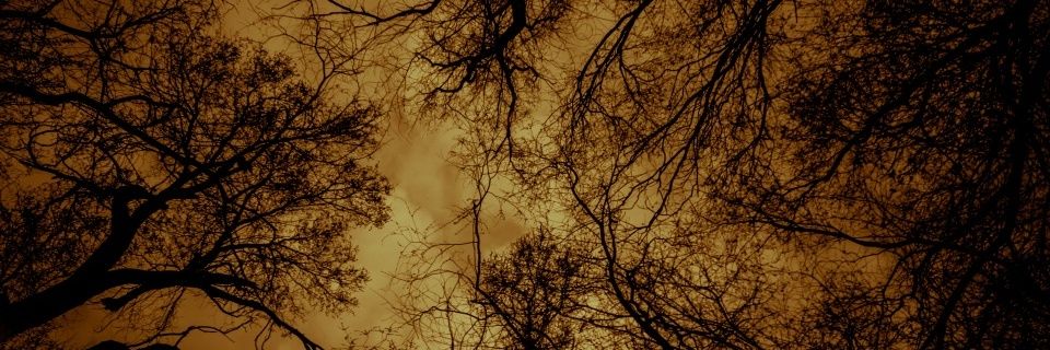 Diaval77's profile banner image