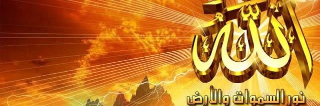 أنثى سوداء المؤنث مثلي الجنس شخص شخص يحب الكلب شخص banner