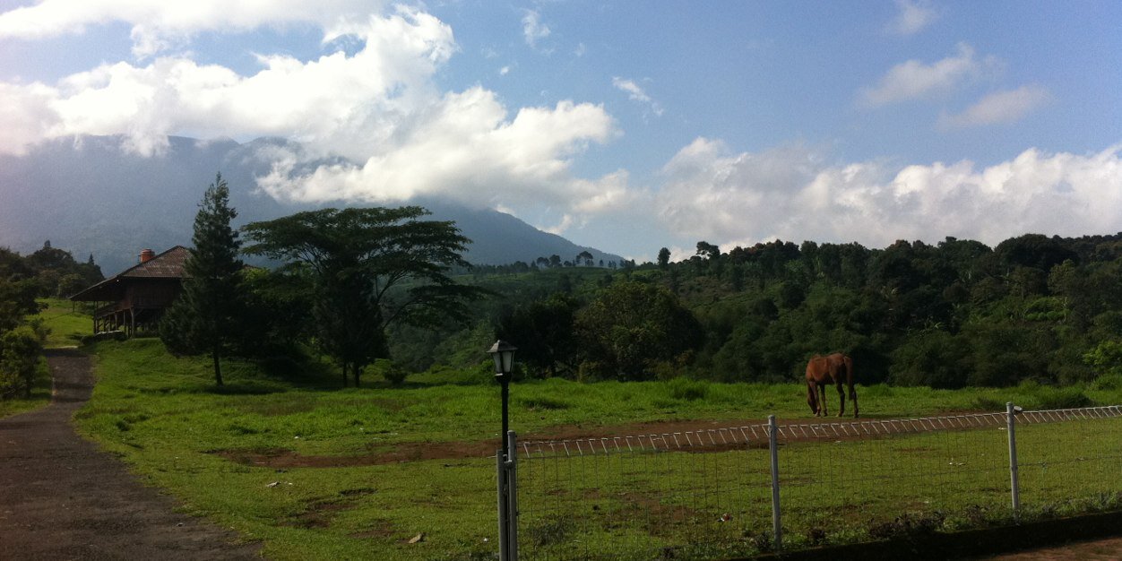 KigAlbalot's profile banner image