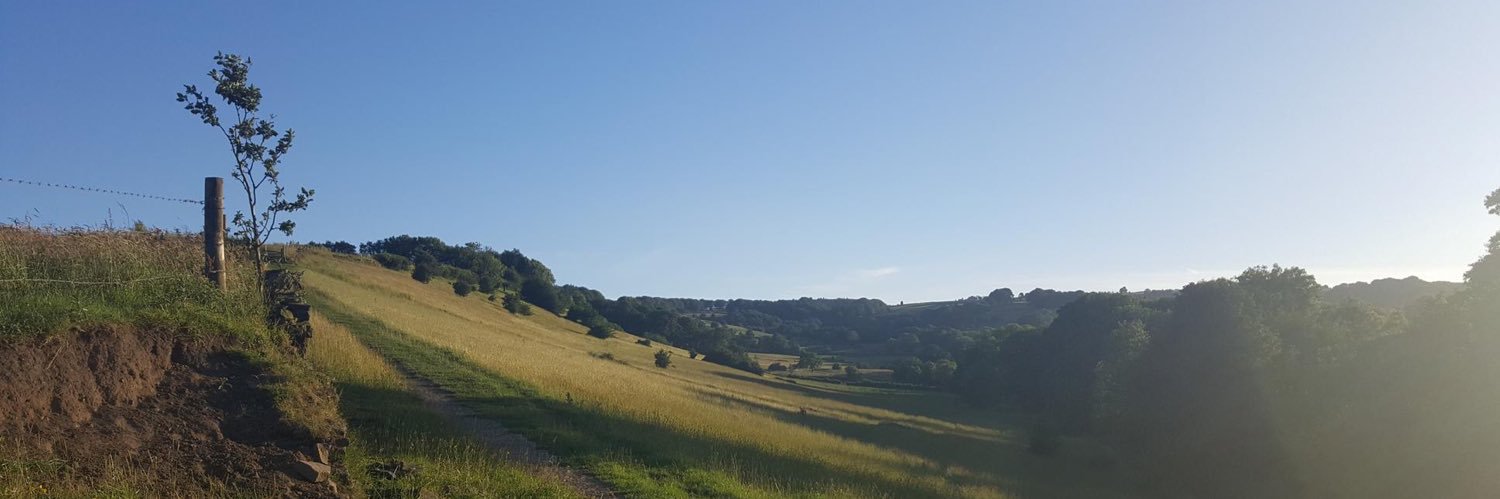 Camilla Priede banner