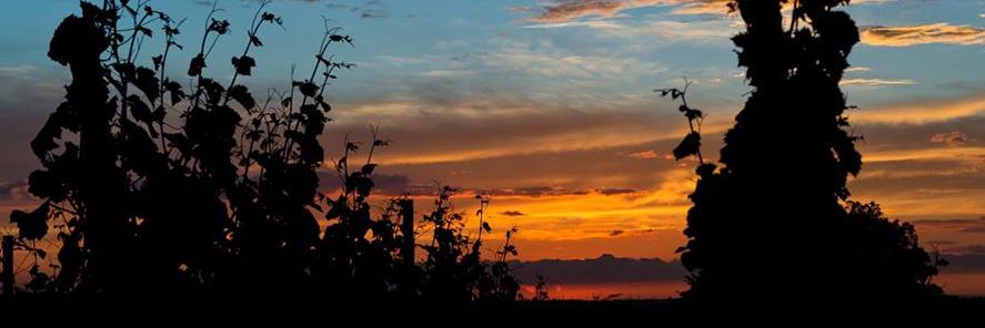 SWFellbach's profile banner image