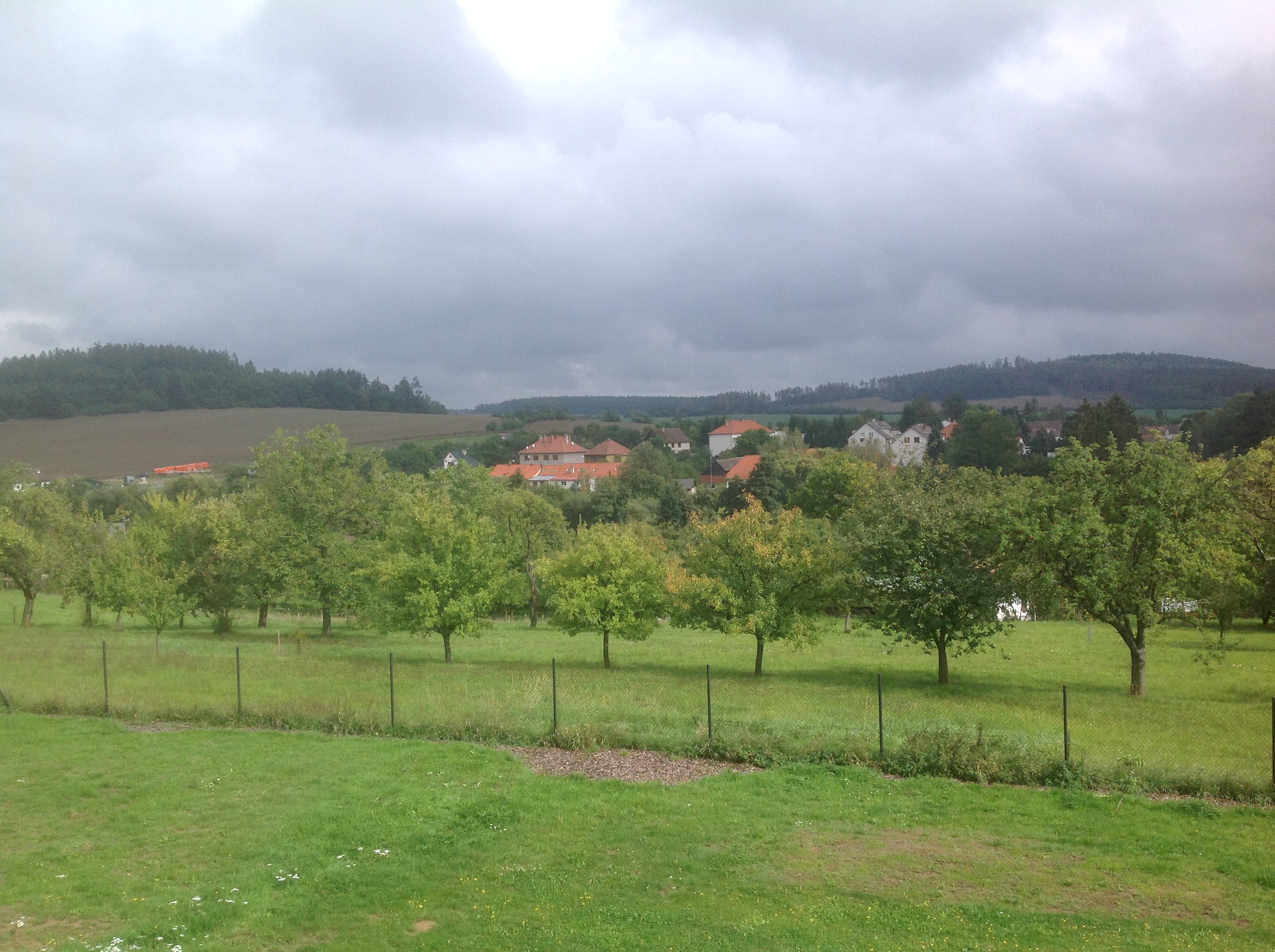 Texelroots's profile banner image
