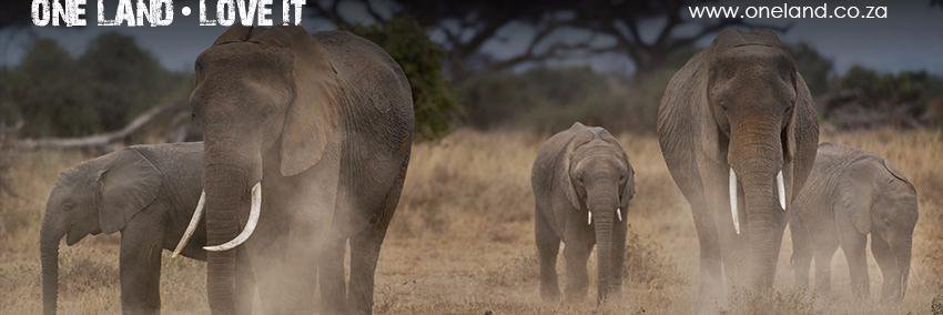 onelandloveit's profile banner image