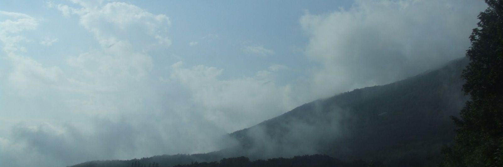 roacasellas's profile banner image