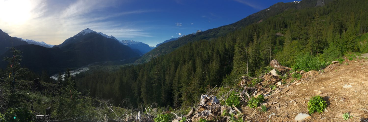 DaleMitchell3's profile banner image