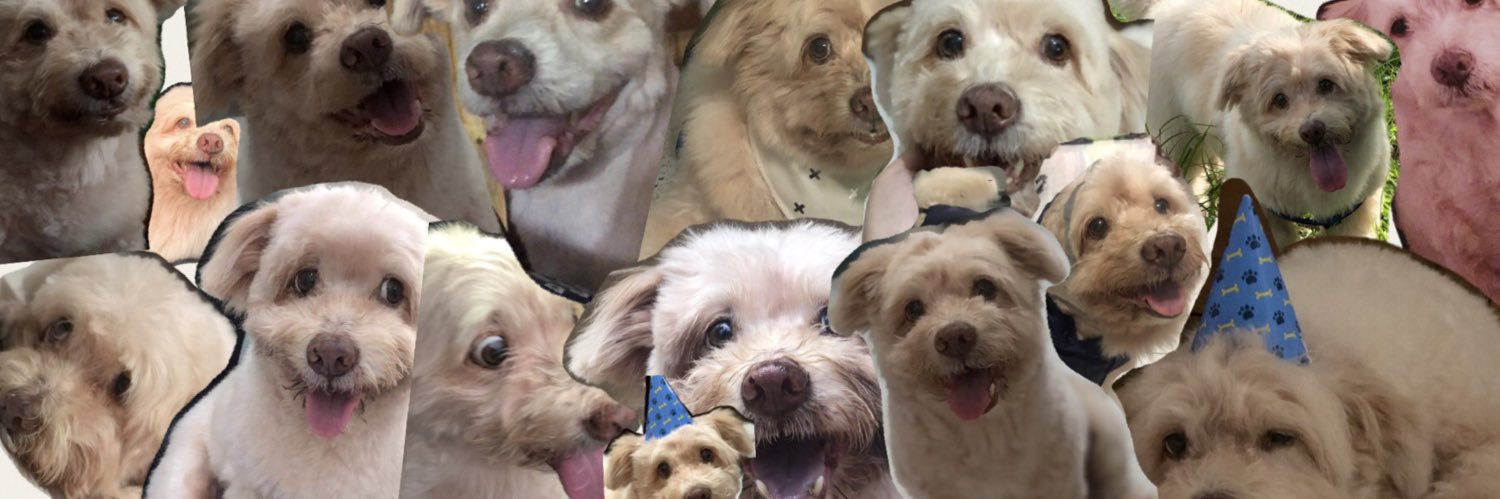 kristyaalee's profile banner image